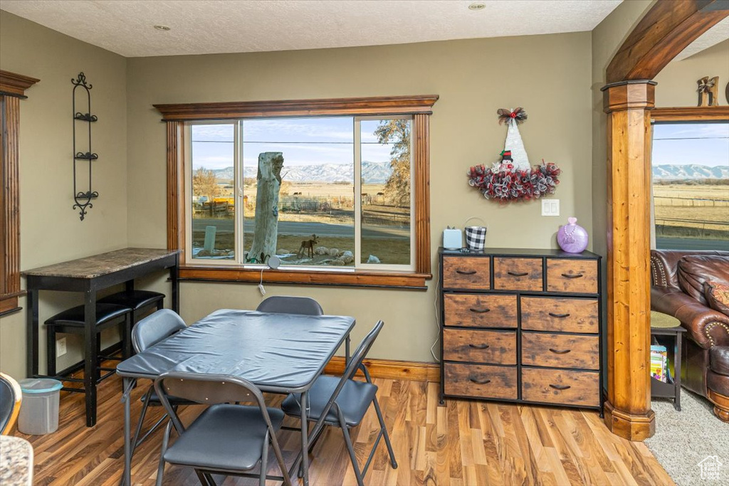 Dining space featuring a mountain view, a textured ceiling, and light wood-type flooring