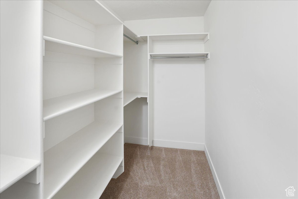 Walk in closet featuring light colored carpet