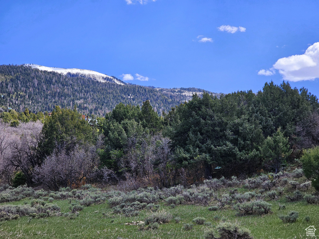View of mountain feature with a view of trees
