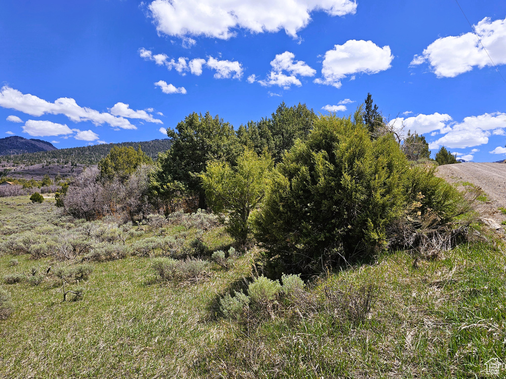 View of mountain feature