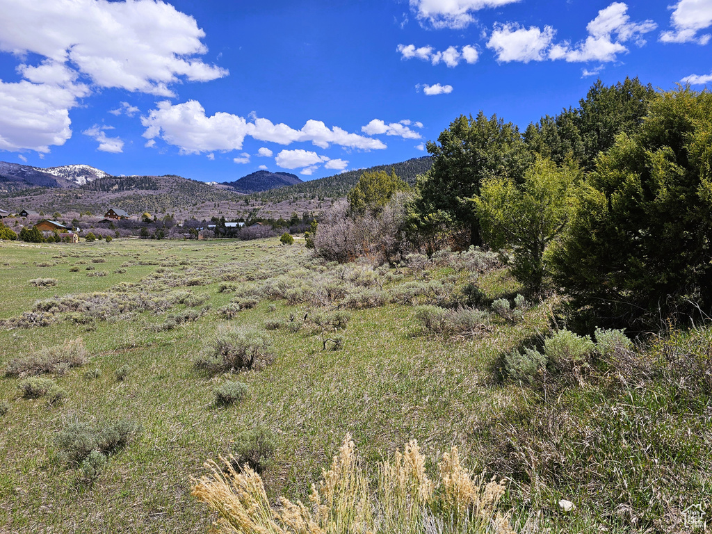 Mountain view