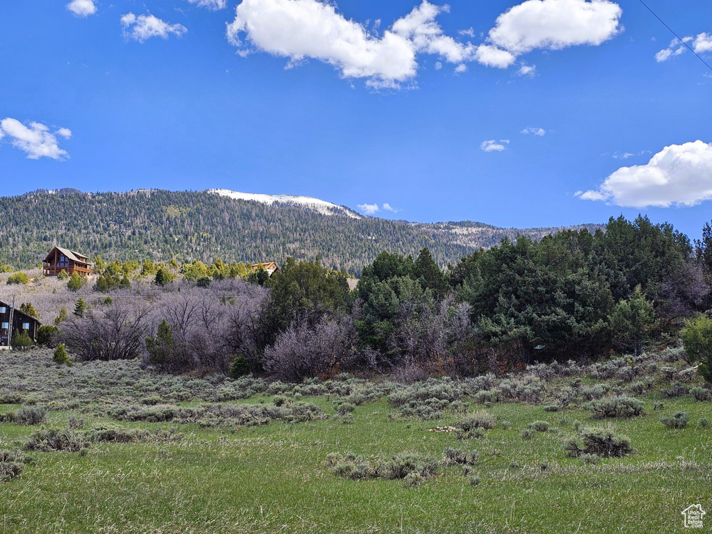 Property view of mountains featuring a wooded view