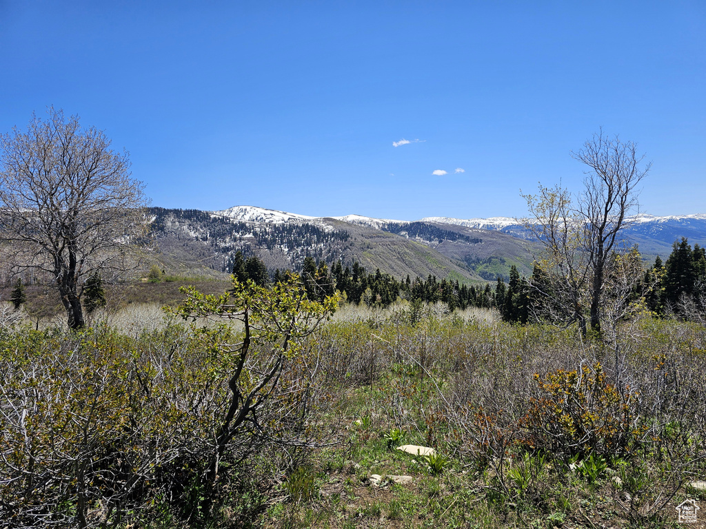 View of mountain background