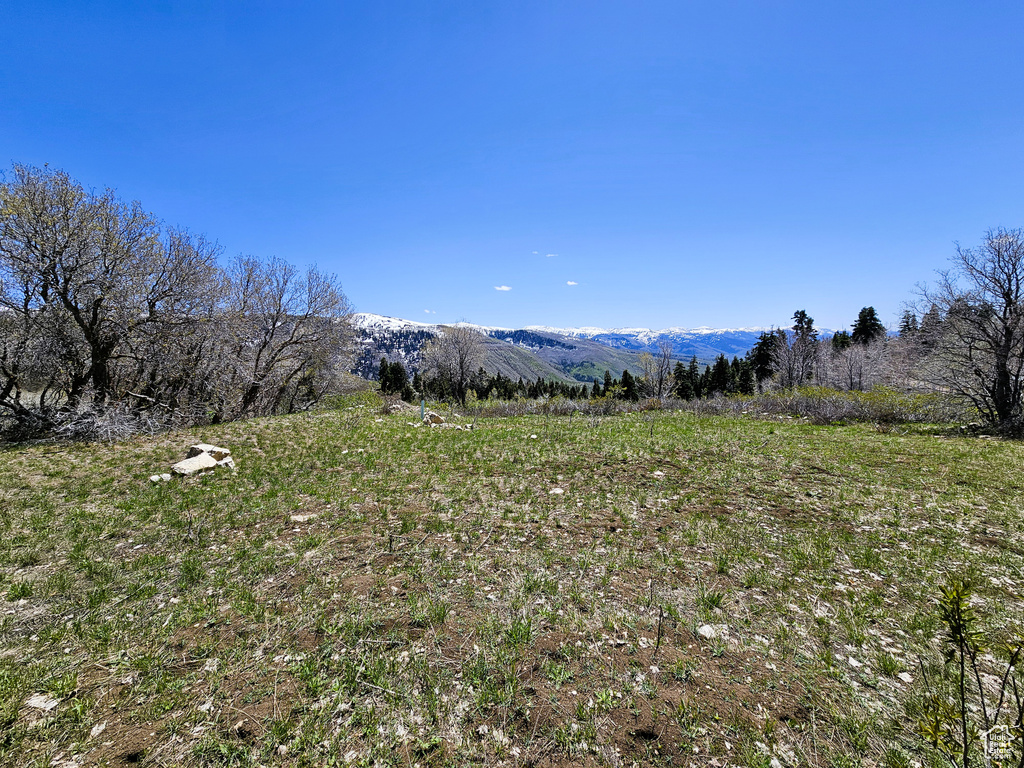 View of mountain background