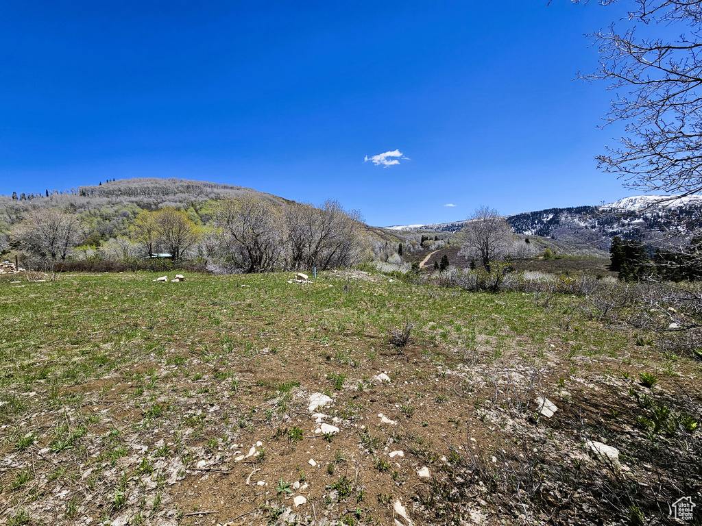Mountain view