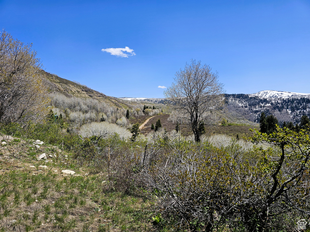 View of mountain backdrop
