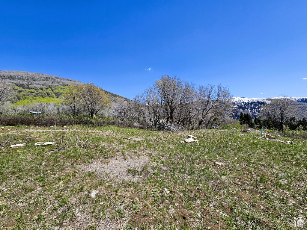 View of mountain backdrop
