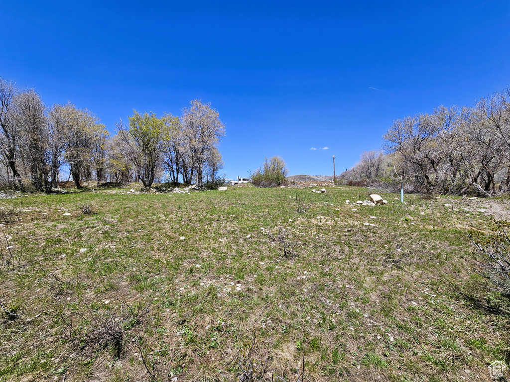 View of yard with a rural view