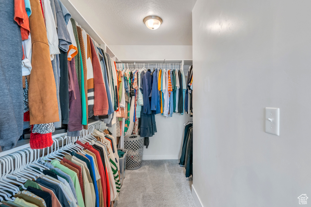 Spacious closet with light carpet