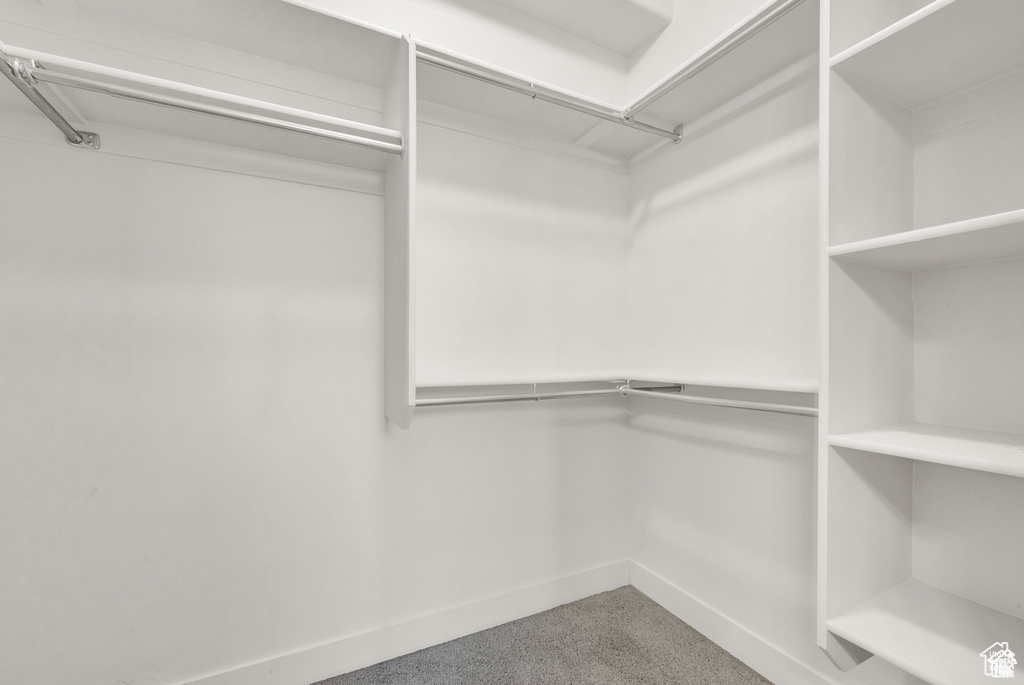 Walk in closet with carpet