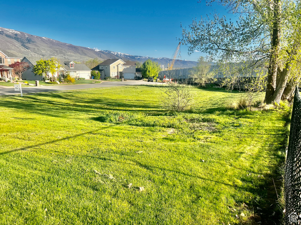 View of yard with a residential view and a mountain view