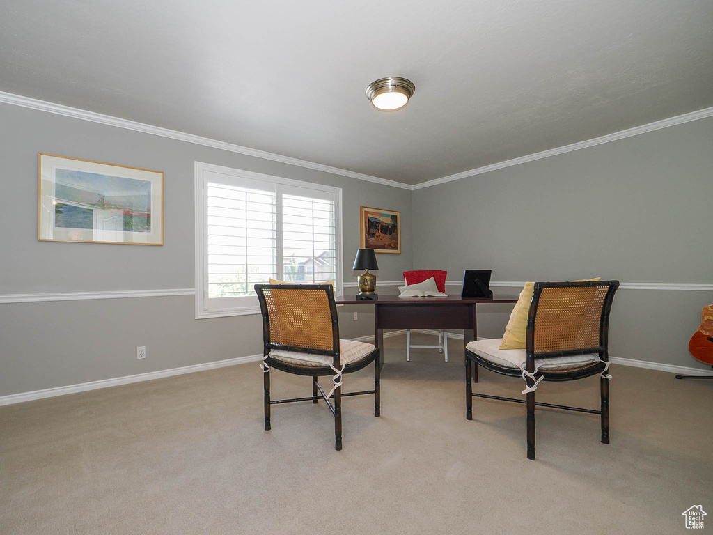 Sitting room with ornamental molding and light carpet