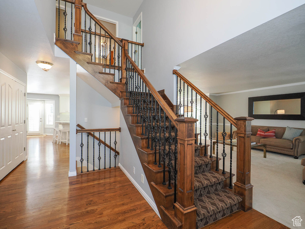 Staircase with a towering ceiling and wood-type flooring