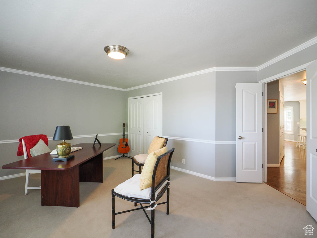 Carpeted office featuring crown molding