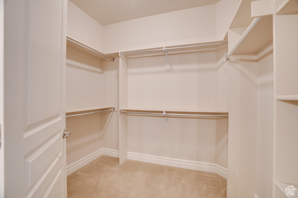 Walk in closet with light colored carpet