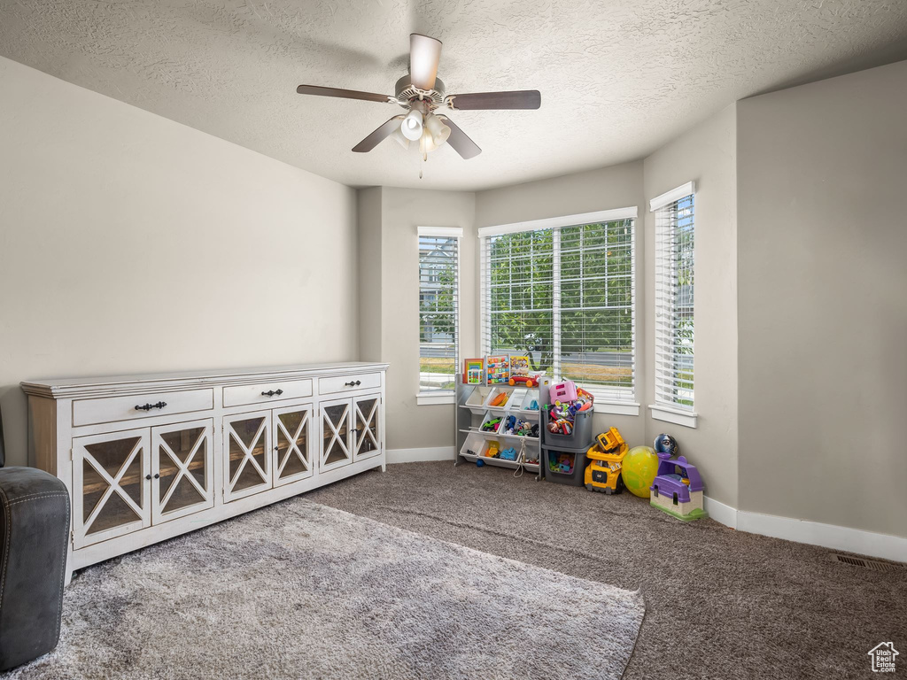 Recreation room featuring carpet floors, ceiling fan, plenty of natural light, and a textured ceiling