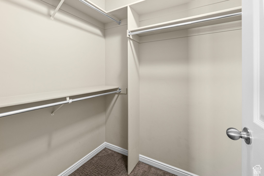 Walk in closet featuring dark colored carpet