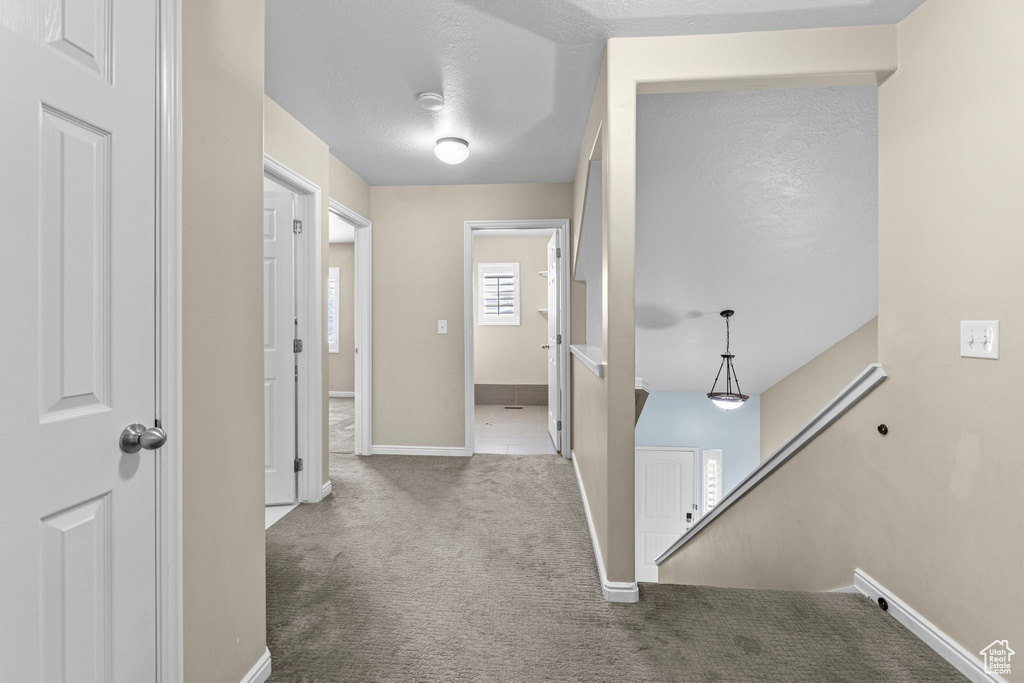 Hall with carpet floors and a textured ceiling