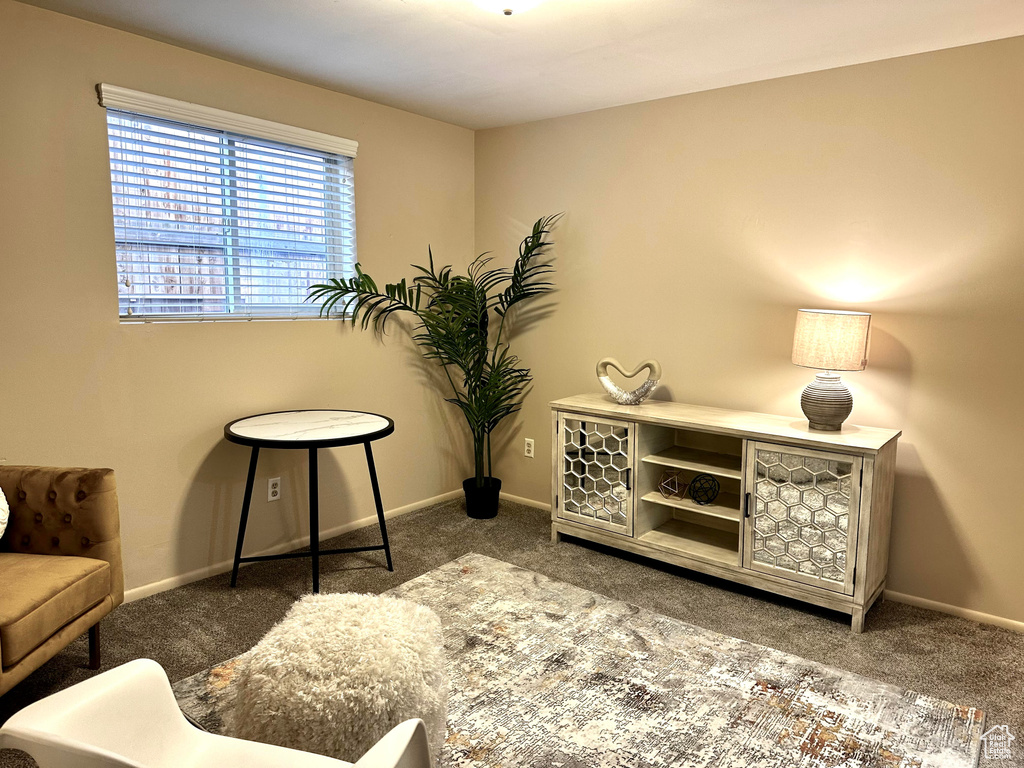 Sitting room with dark colored carpet