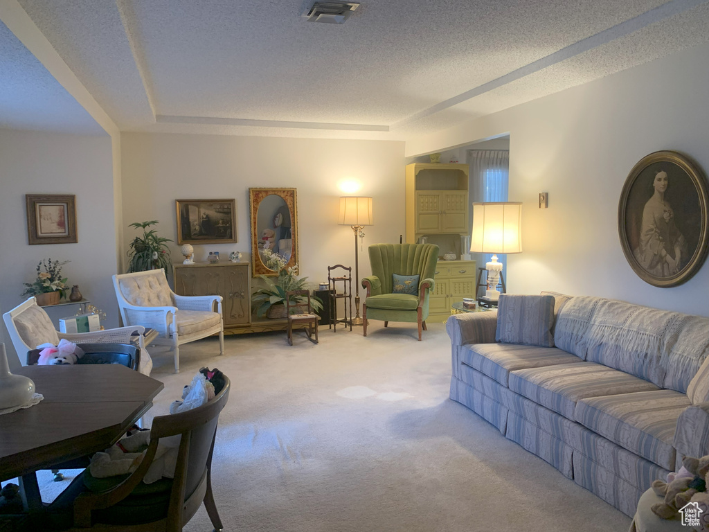 Carpeted living room featuring a raised ceiling and a textured ceiling