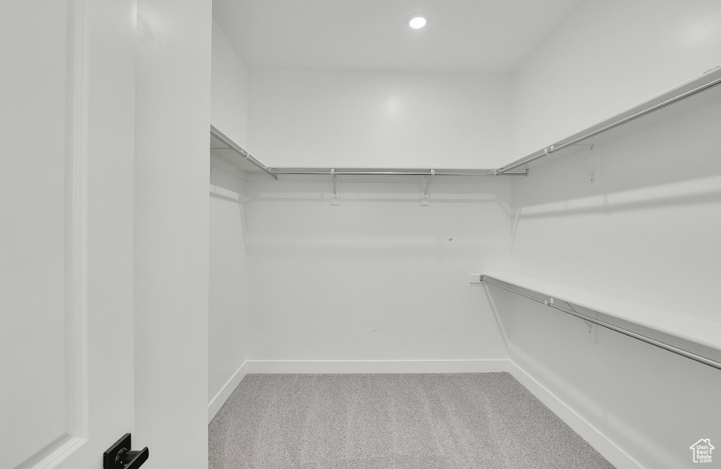 Walk in closet featuring carpet flooring