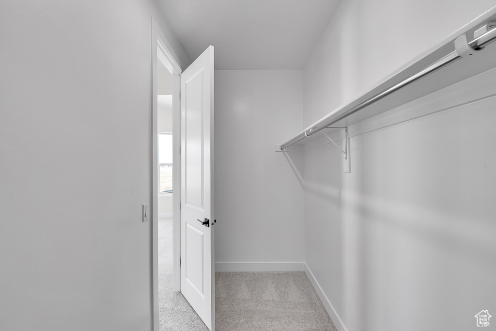 Spacious closet featuring carpet flooring