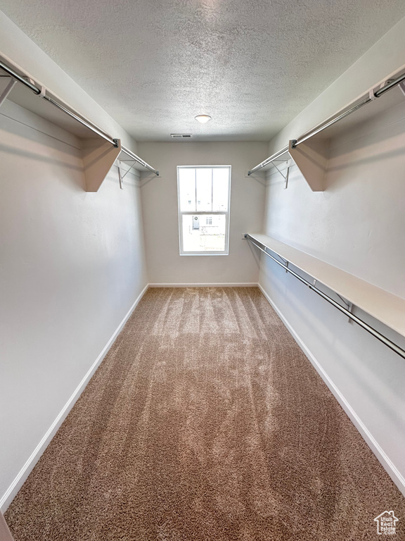 Spacious closet featuring carpet flooring
