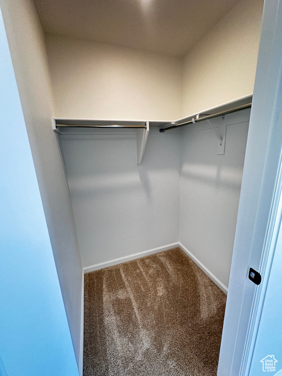 Spacious closet with carpet