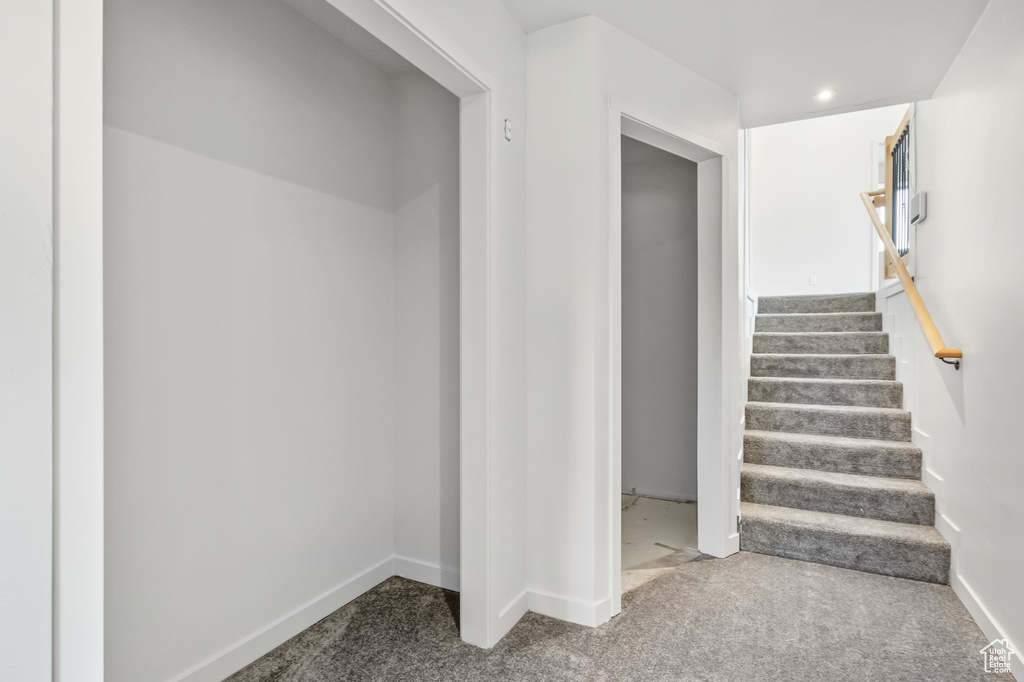 Staircase featuring carpet