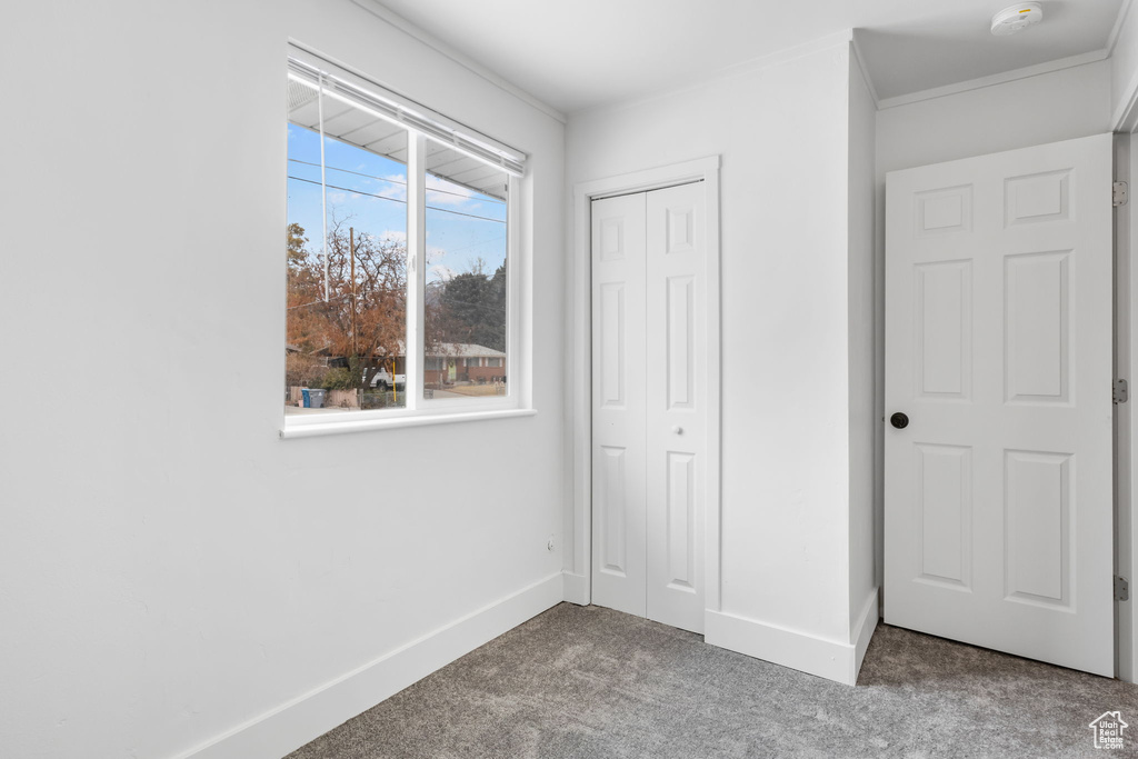 Unfurnished bedroom with ornamental molding, light carpet, and a closet