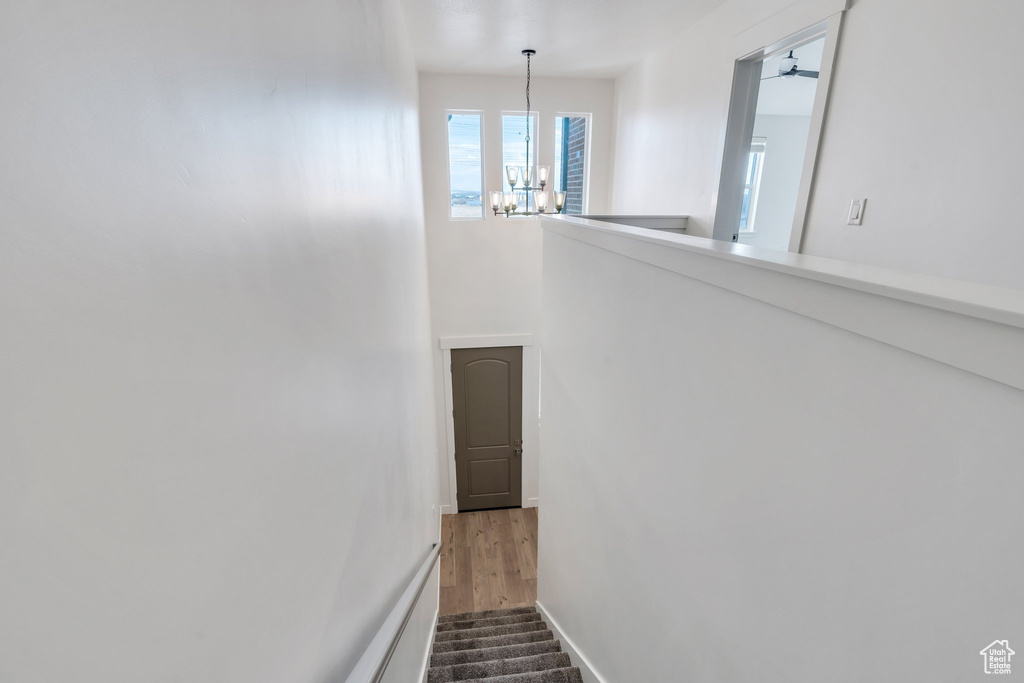 Stairway with a chandelier and hardwood / wood-style floors