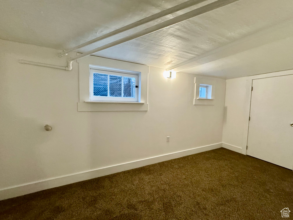 Basement with dark carpet