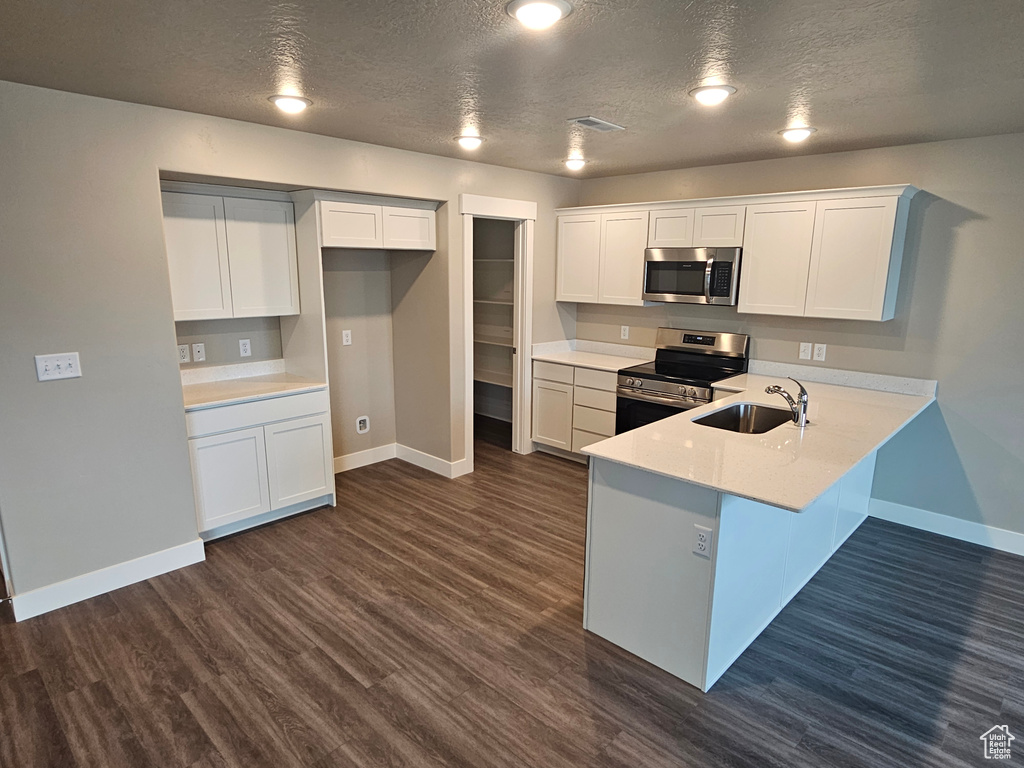 Kitchen with stainless steel appliances, dark hardwood / wood-style floors, and white cabinets