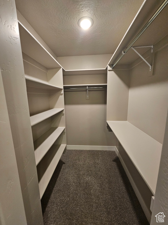 Walk in closet with dark carpet