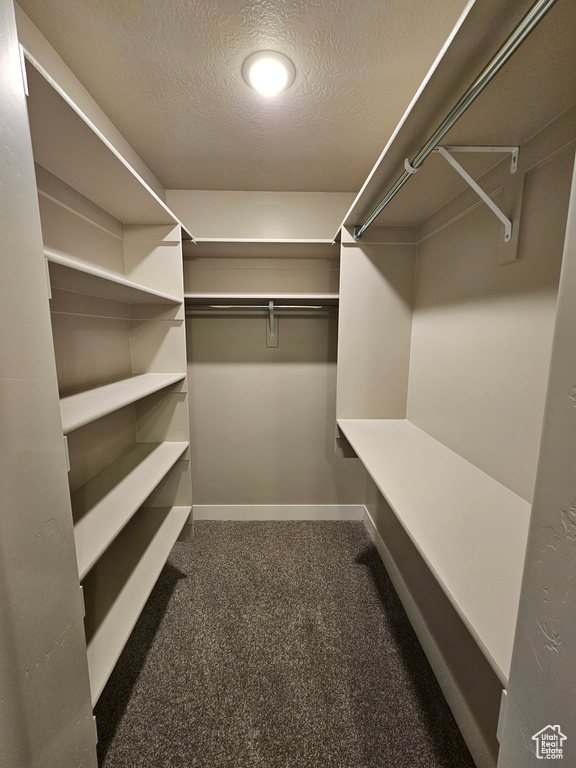 Spacious closet featuring dark carpet