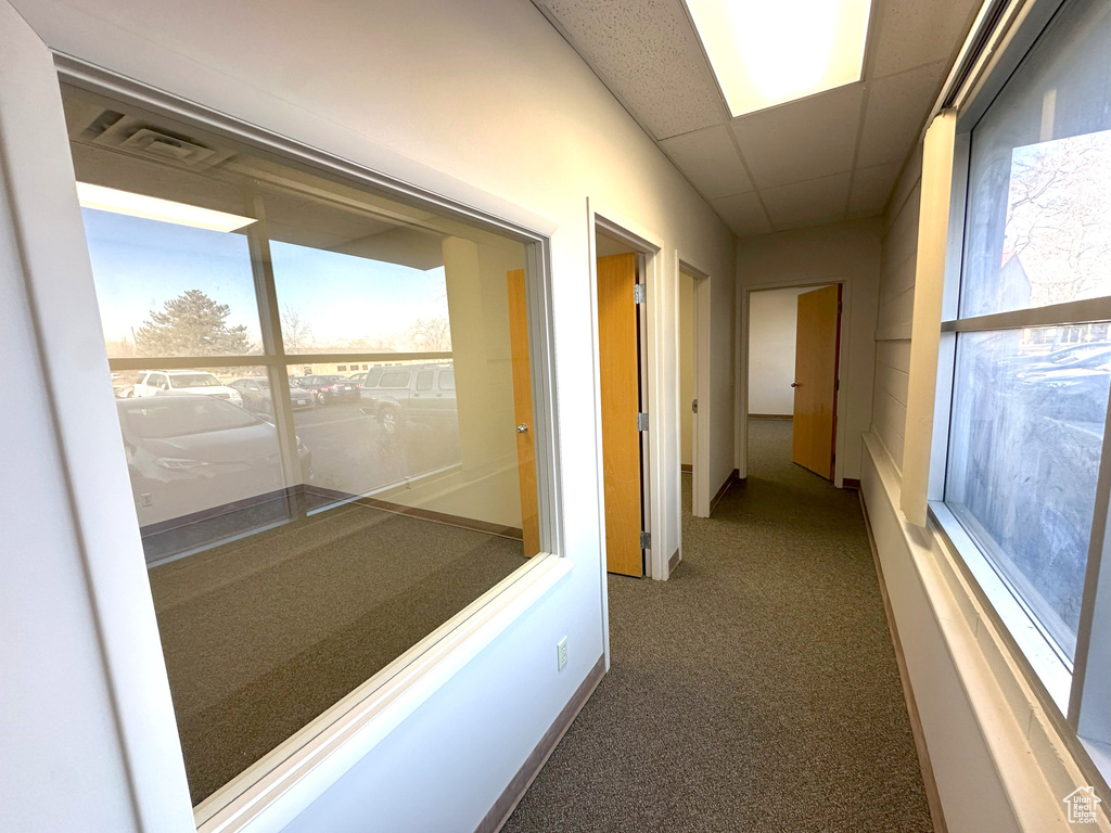 Hallway with a paneled ceiling and carpet flooring