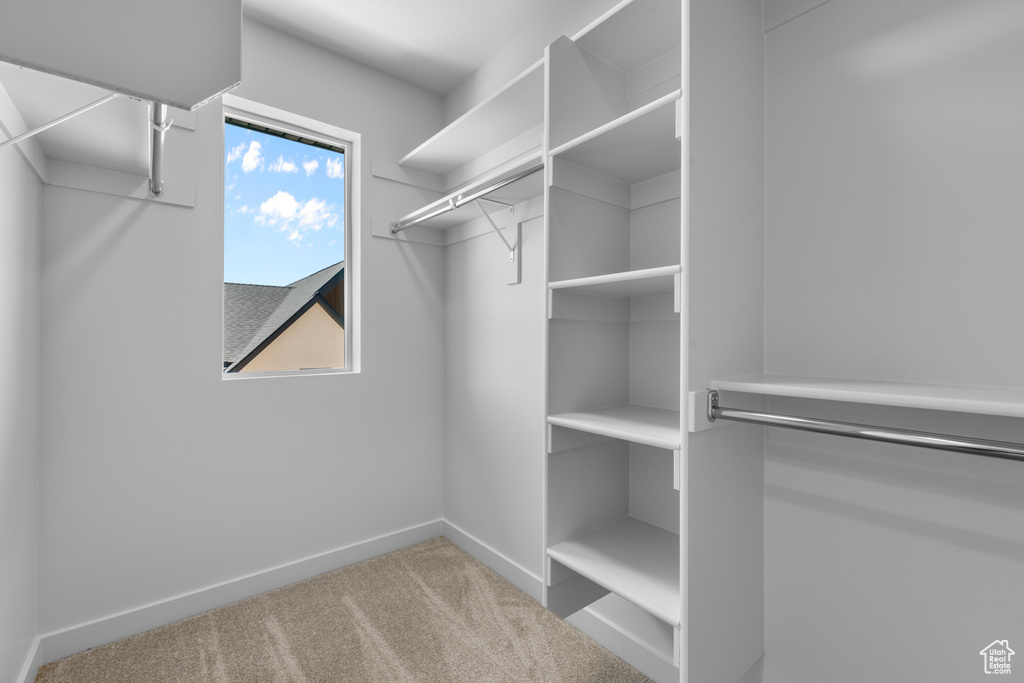 Walk in closet with light carpet