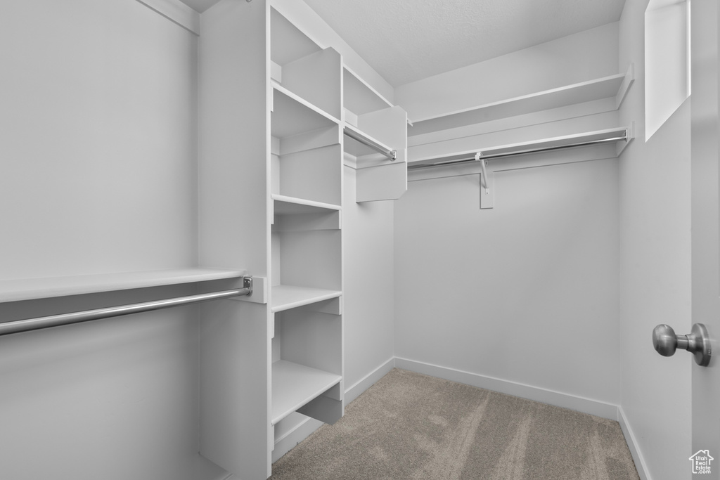 Spacious closet featuring light colored carpet