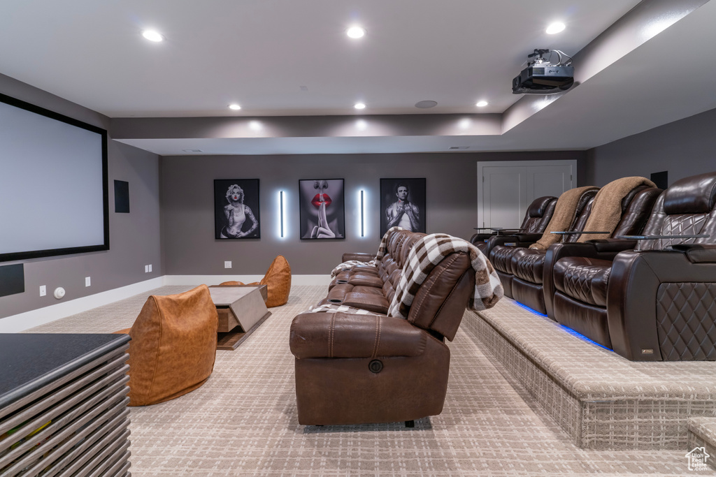 Cinema room with carpet floors