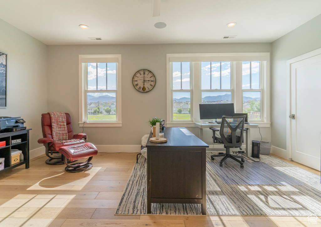 Office area featuring plenty of natural light and light hardwood / wood-style floors
