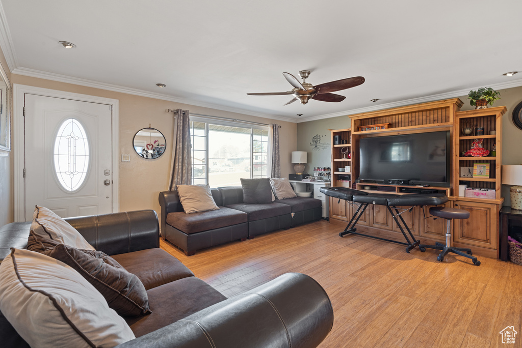 Living area featuring ceiling fan, ornamental molding, and light wood-style flooring