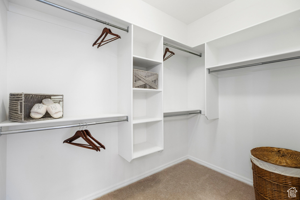 Spacious closet featuring carpet floors