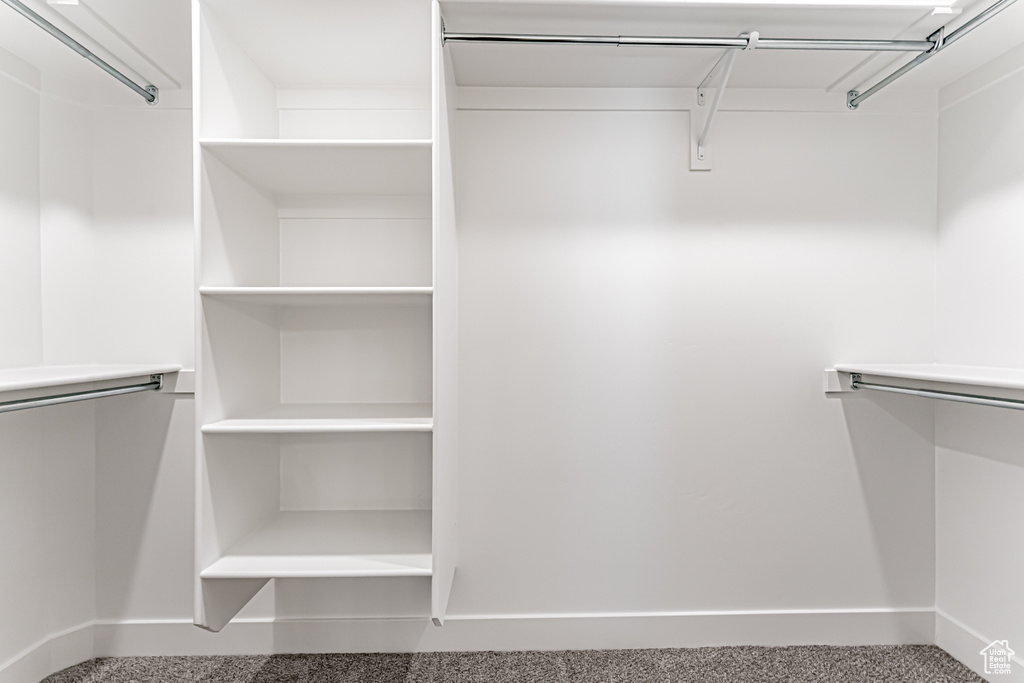 Spacious closet featuring carpet
