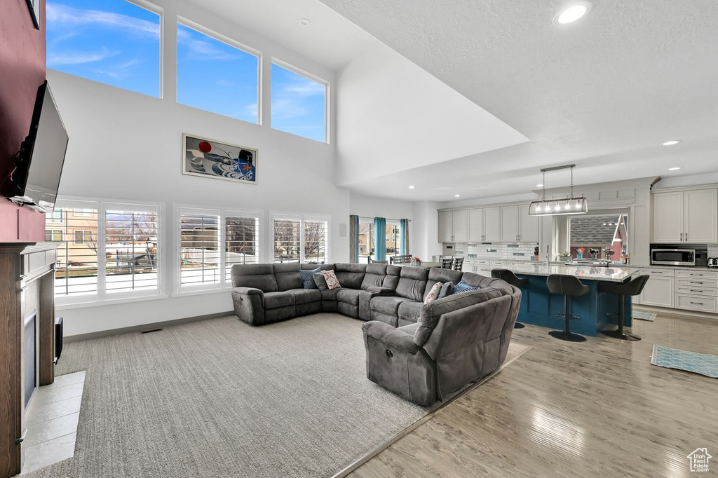 Living room featuring a high ceiling and light hardwood / wood-style flooring