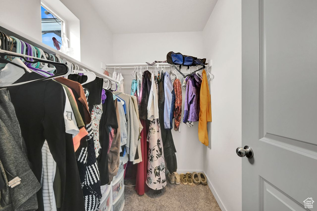 Walk in closet with carpet flooring