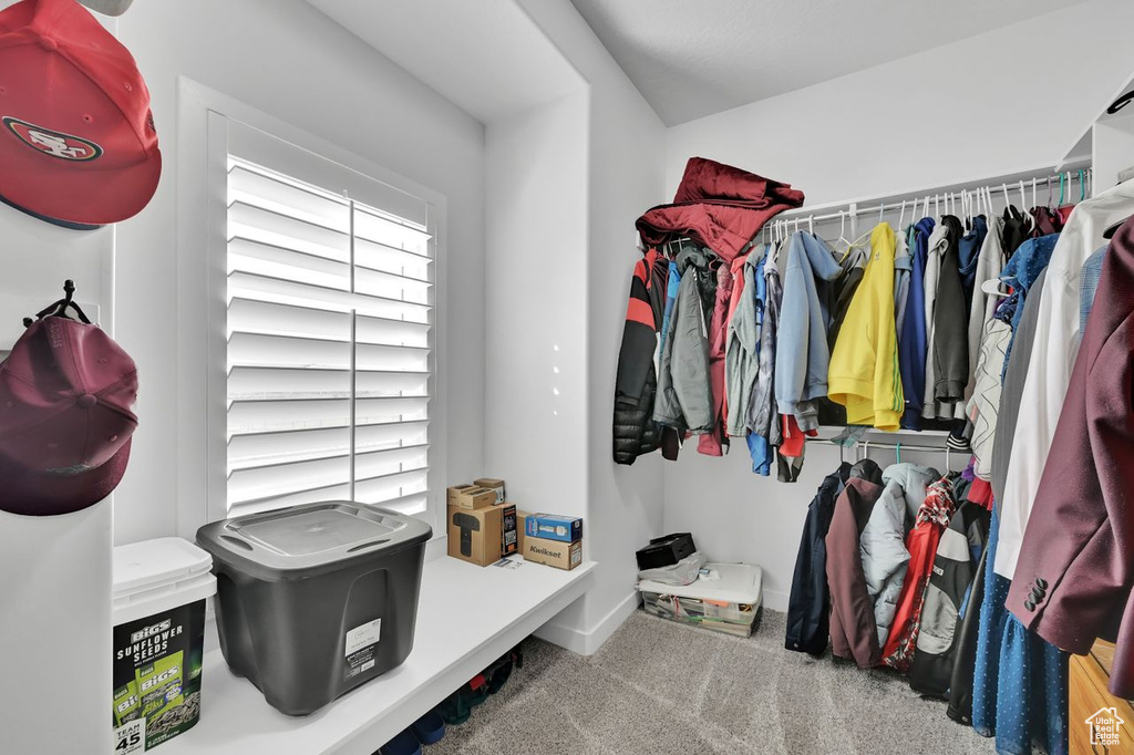 Spacious closet with carpet flooring