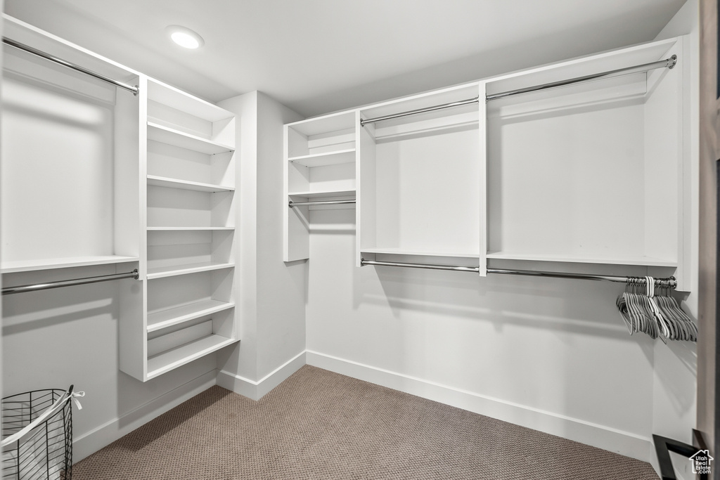 Spacious closet with carpet flooring