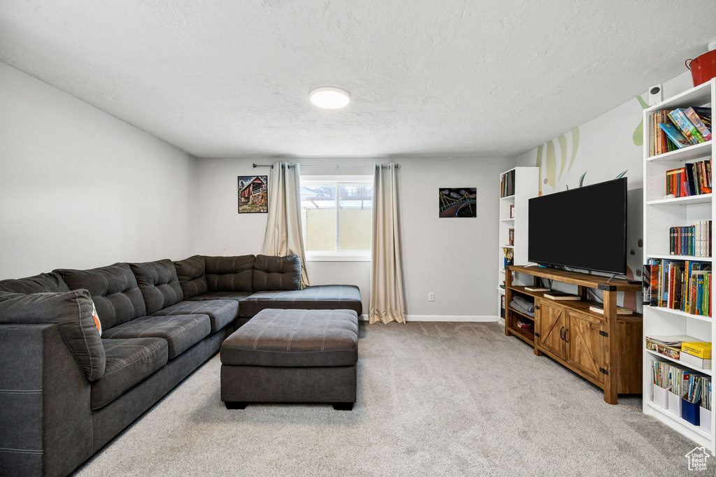 Living room with carpet flooring and a textured ceiling