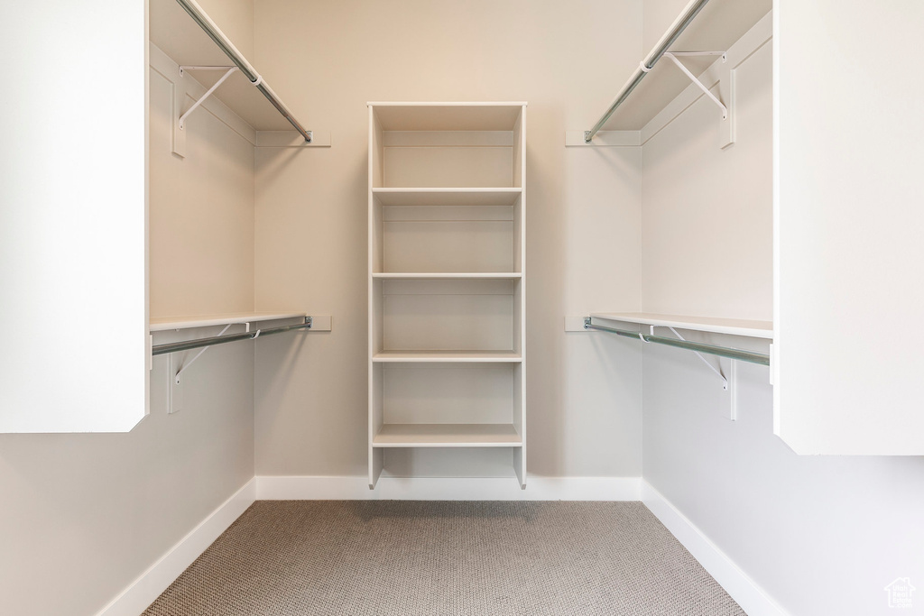 Spacious closet featuring carpet flooring