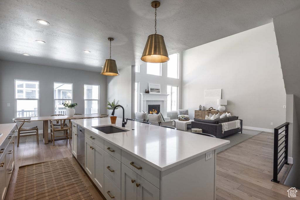 Kitchen with a sink, a lit fireplace, light countertops, light wood-type flooring, and dishwasher